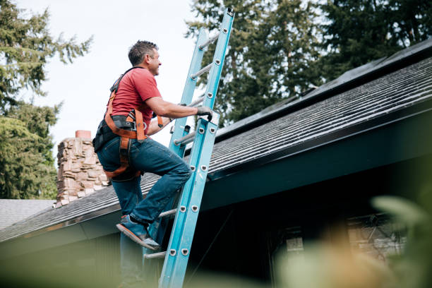 Best Solar Panel Roofing Installation  in Booneville, MS